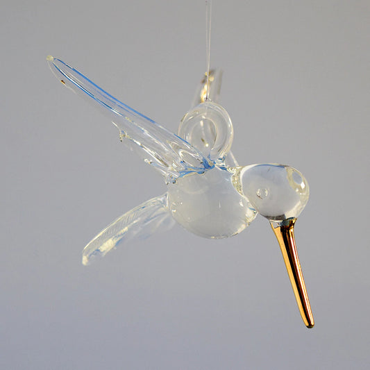 Small Clear Hummingbird