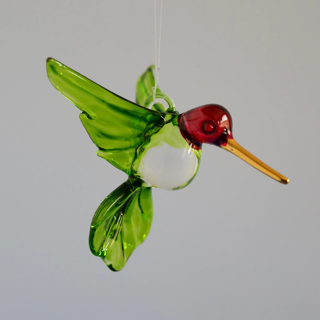 Large Red Head Hummingbird