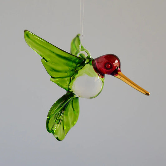 Large Red Head Hummingbird