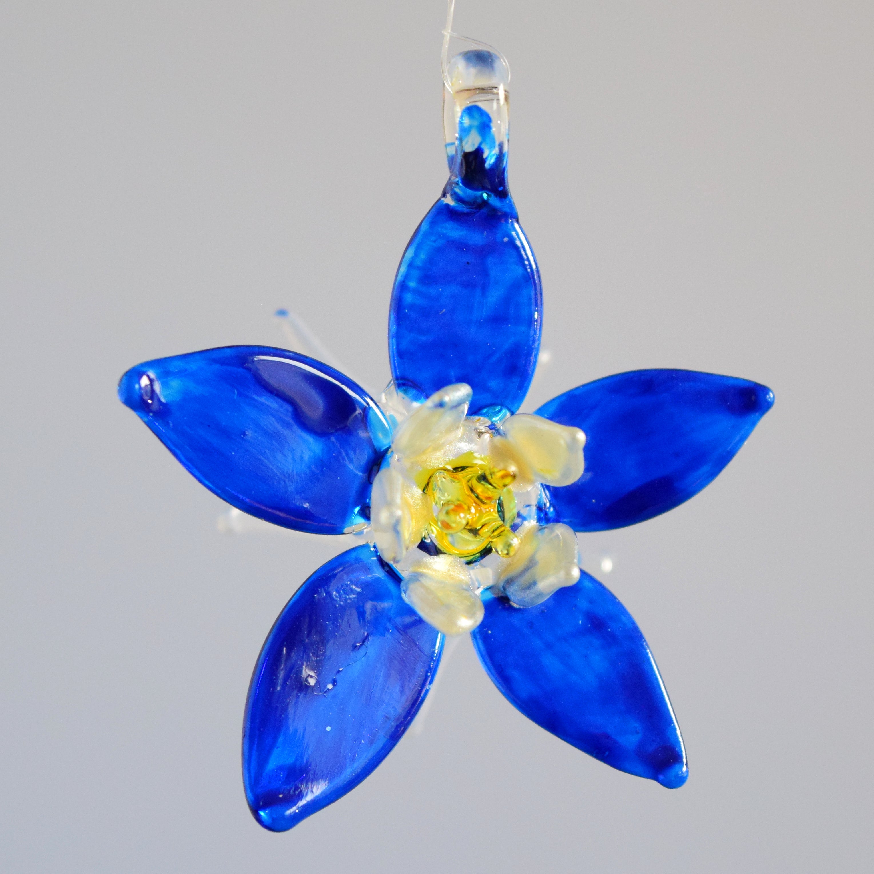 Columbines – Wholesale Hummingbirds
