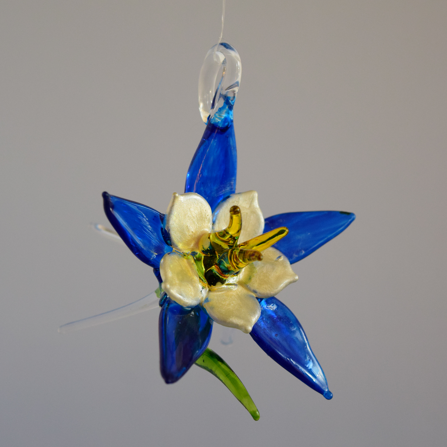 Small Columbine