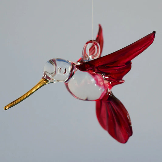Small Red Hummingbird